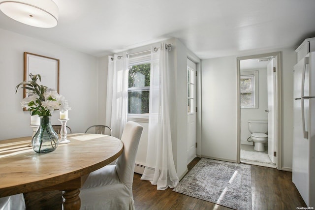 dining room featuring dark hardwood / wood-style floors