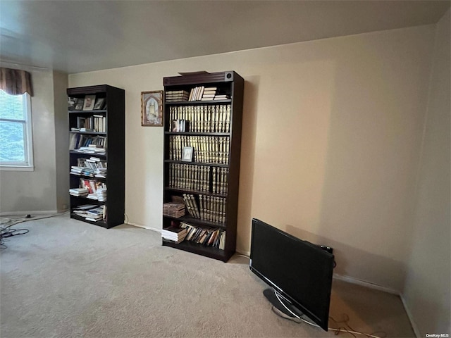 miscellaneous room featuring carpet flooring