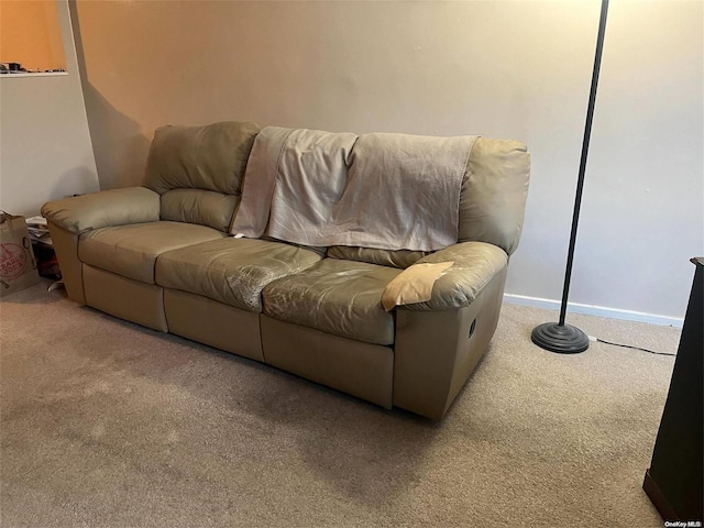 living room with carpet flooring