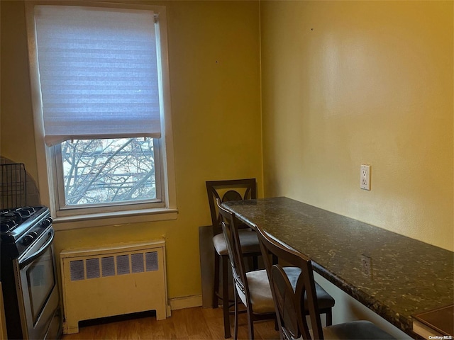 kitchen with light hardwood / wood-style floors, gas range oven, and radiator