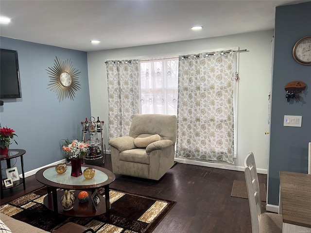 living room with dark hardwood / wood-style floors