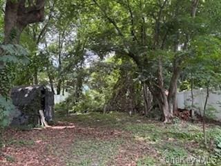 62 Lowndes Ave, Huntington Station, NY 11746 - photo 6