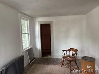 62 Lowndes Ave, Huntington Station, NY 11746 - photo 8