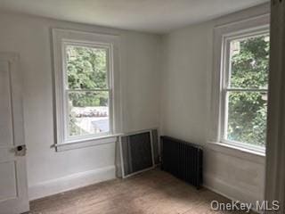 62 Lowndes Ave, Huntington Station, NY 11746 - photo 9