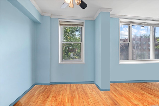 empty room with light wood-type flooring, ceiling fan, and crown molding