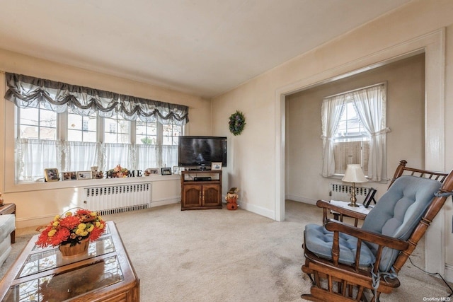 living room with carpet and radiator