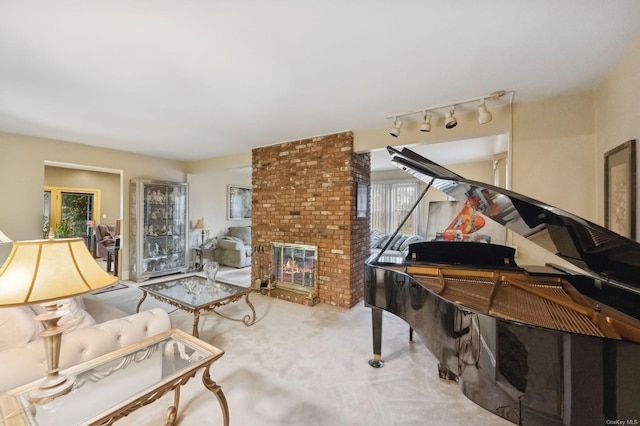 interior space featuring a fireplace and track lighting