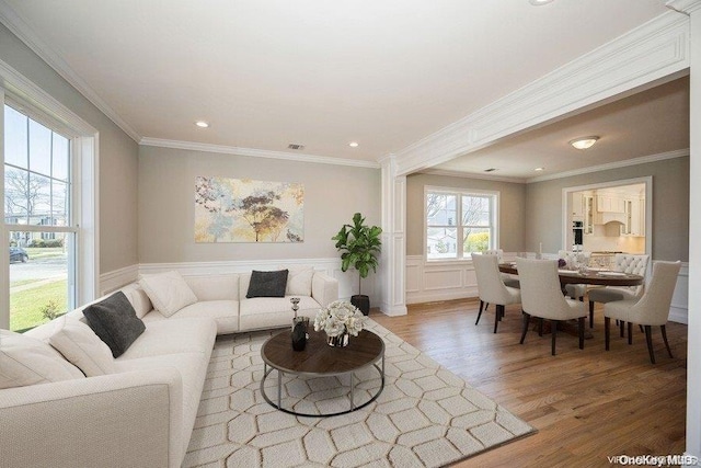 living room featuring hardwood / wood-style flooring and crown molding