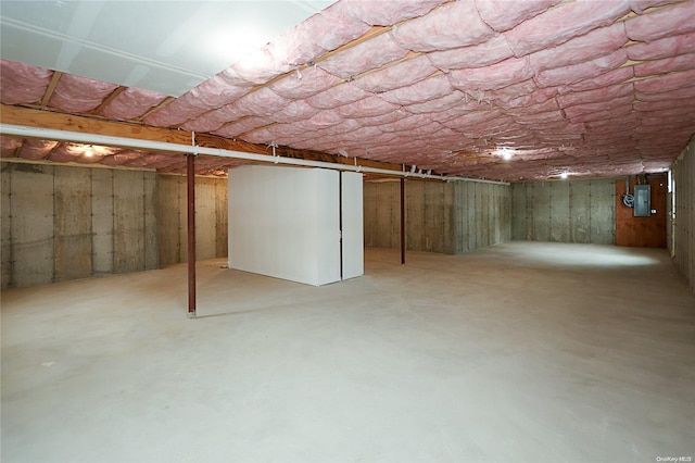 basement featuring electric panel