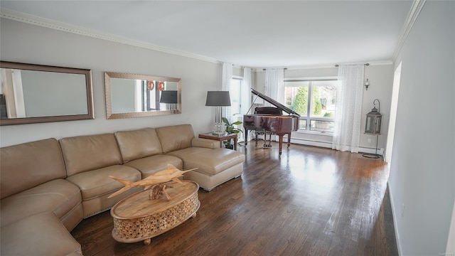 living room with dark hardwood / wood-style flooring and ornamental molding