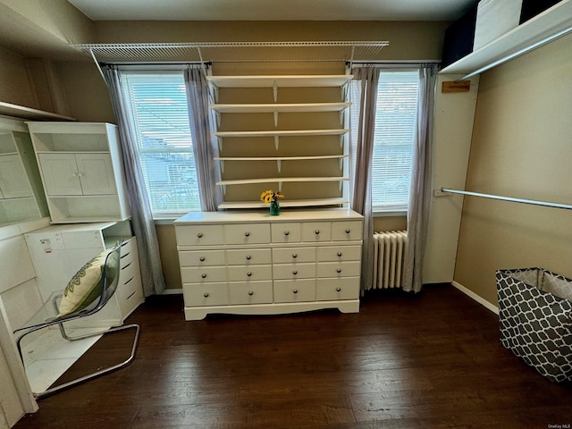 spacious closet with radiator and dark hardwood / wood-style flooring