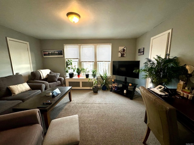 living room with carpet flooring and radiator