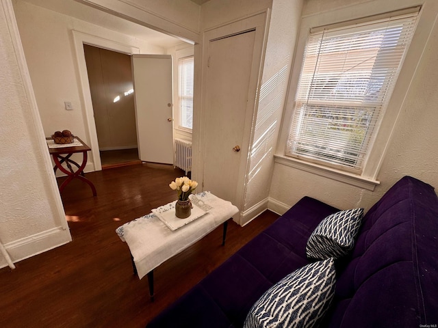 living room featuring dark hardwood / wood-style floors and radiator