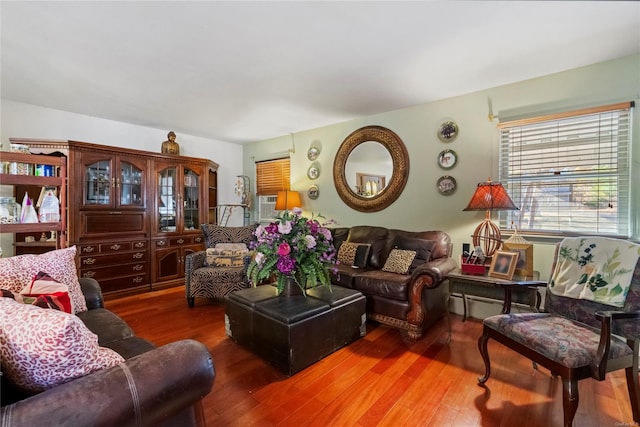 living room featuring hardwood / wood-style floors