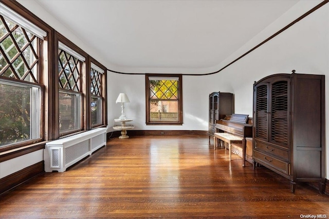 sitting room with radiator heating unit and dark hardwood / wood-style floors