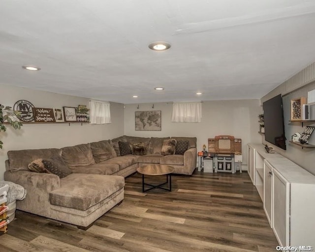 living room featuring dark wood-type flooring