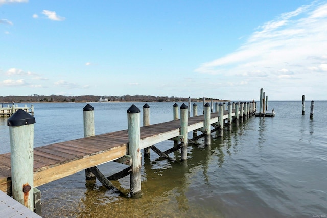 dock area featuring a water view