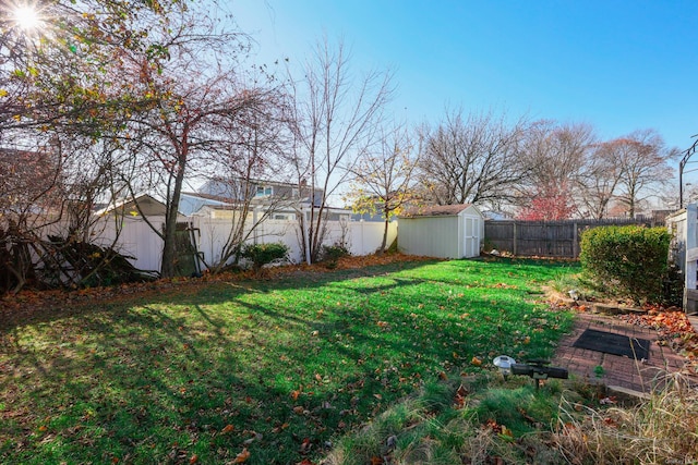 view of yard with a shed