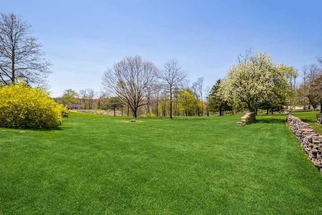 view of yard featuring a rural view