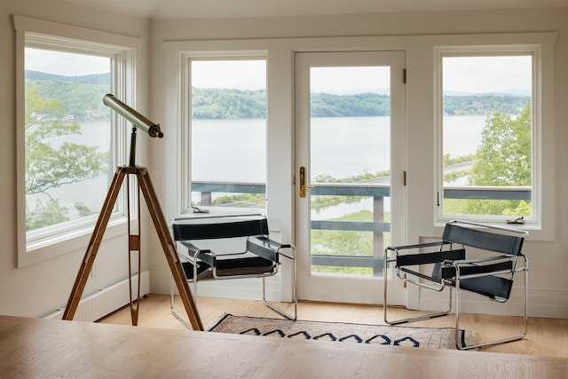 doorway to outside with plenty of natural light, light hardwood / wood-style floors, and a water view