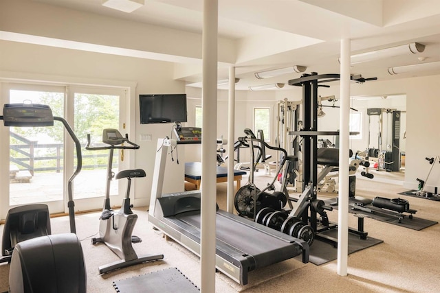 workout area with carpet floors