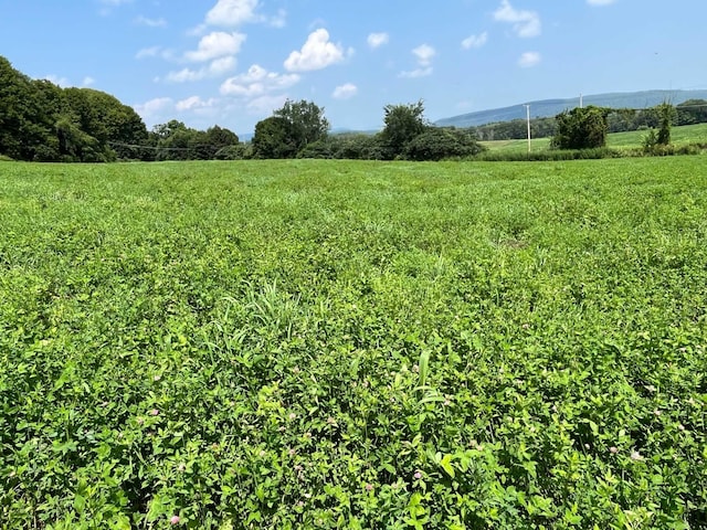 view of nature featuring a rural view