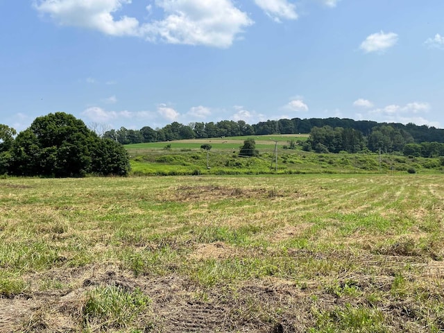 view of local wilderness featuring a rural view