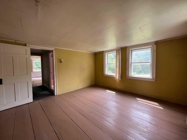 unfurnished room featuring plenty of natural light and light hardwood / wood-style floors