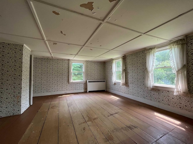 bonus room with radiator heating unit and wood-type flooring