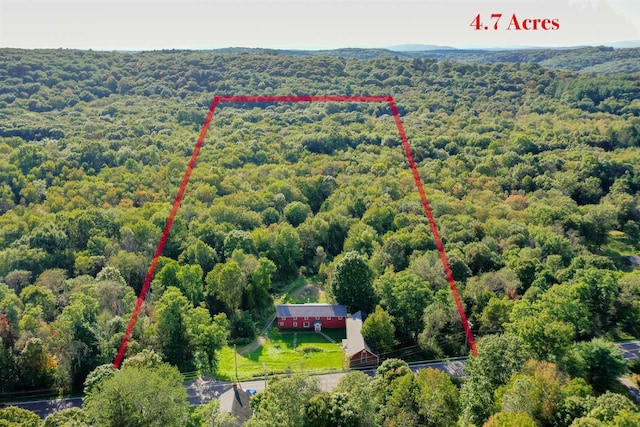 2723 Rte 82, Lagrangeville, NY 12540 - photo 18