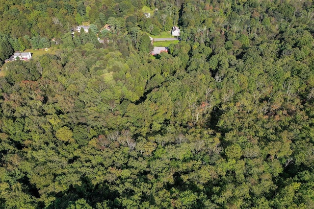 2723 Rte 82, Lagrangeville, NY 12540 - photo 19