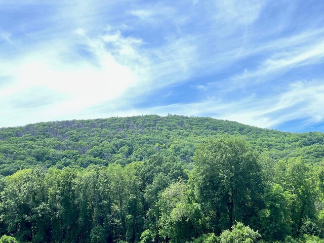 Perrys Corners Rd, Amenia, NY 12501