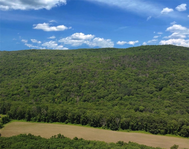 Perrys Corners Rd, Amenia, NY 12501