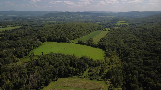 Perrys Corners Rd, Amenia, NY 12501