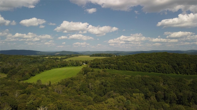 Perrys Corners Rd, Amenia, NY 12501
