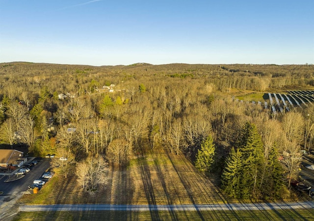 Listing photo 3 for Rte 82, Stanfordville NY 12581