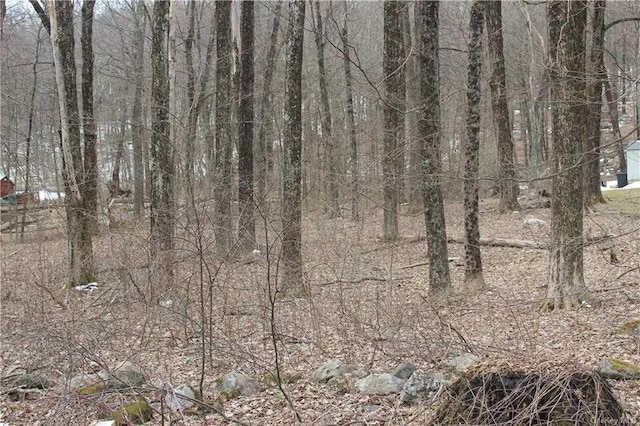 0 Rte 343, Dover Plains NY, 12522 land for sale