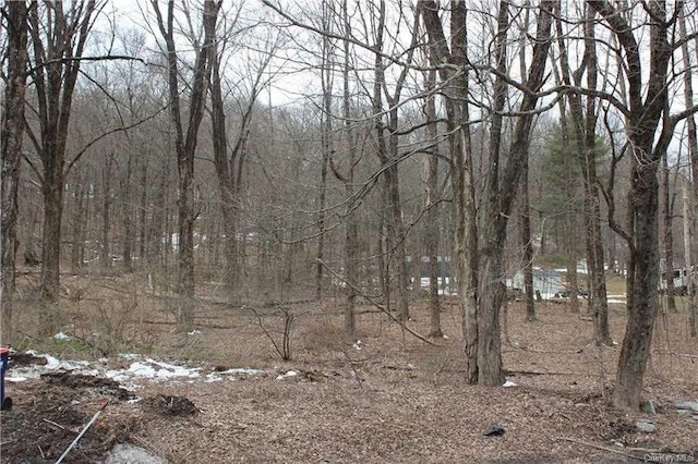 Listing photo 3 for 0 Rte 343, Dover Plains NY 12522