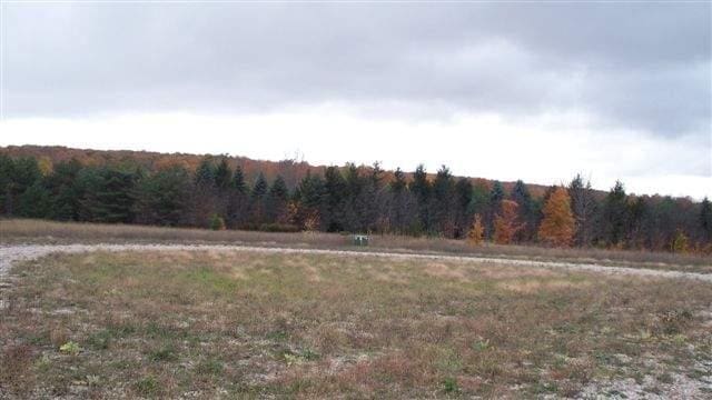 8792 Chickadee Ln, Alanson MI, 49706 land for sale