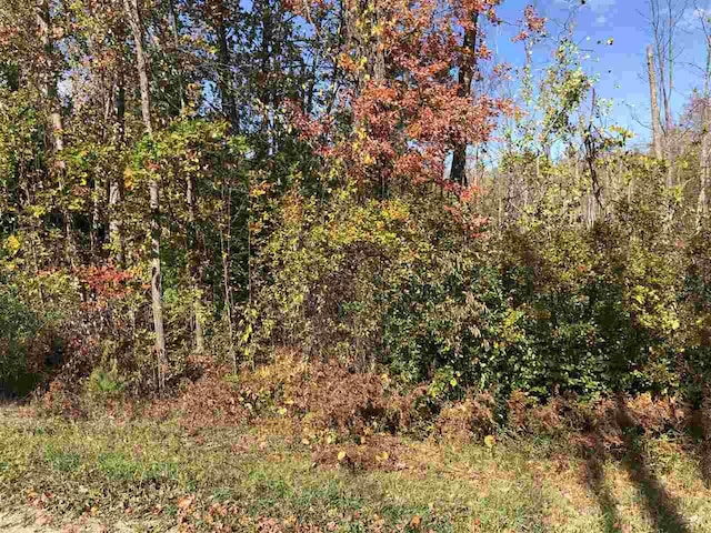 25 Birchview Dr, Kewadin MI, 49648 land for sale