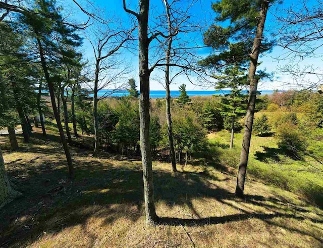 Listing photo 2 for 5830 Westward Psge, Harbor Springs MI 49740