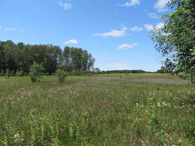 M-33 Hwy, Cheboygan MI, 49721 land for sale