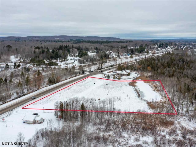 8105 S US-31 Hwy, Alanson MI, 49706 land for sale