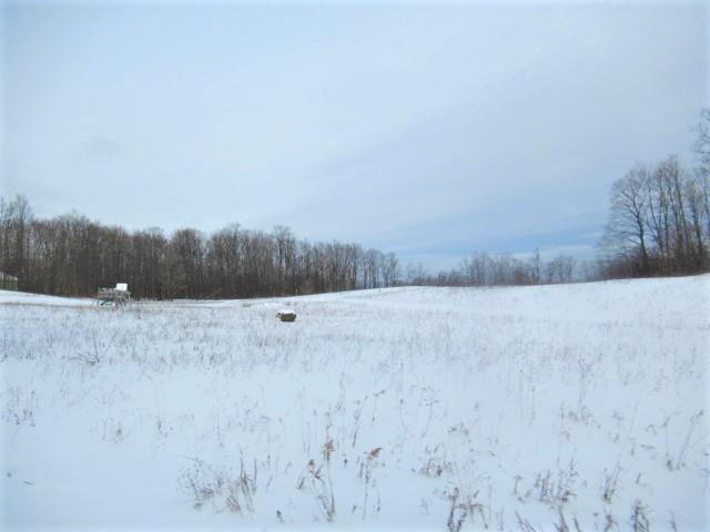 1752 Chapel Hill Dr, Petoskey, MI 49770