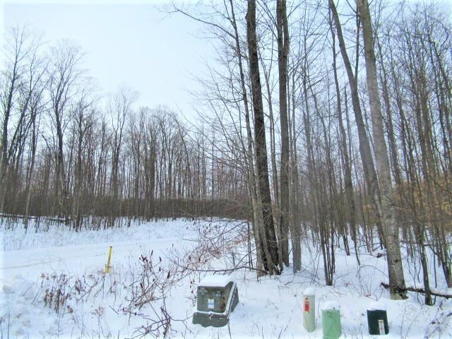 Listing photo 2 for 0000 Chapel Hill Dr, Petoskey MI 49770