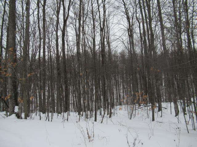 Listing photo 3 for 0000 Chapel Hill Dr, Petoskey MI 49770