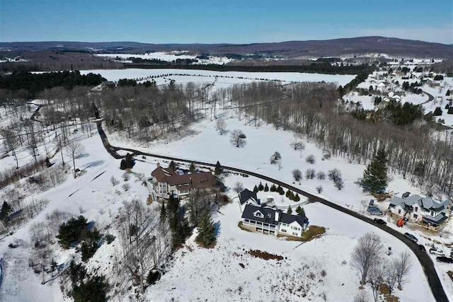 8137 E Ridge Rd, Harbor Springs, MI 49740