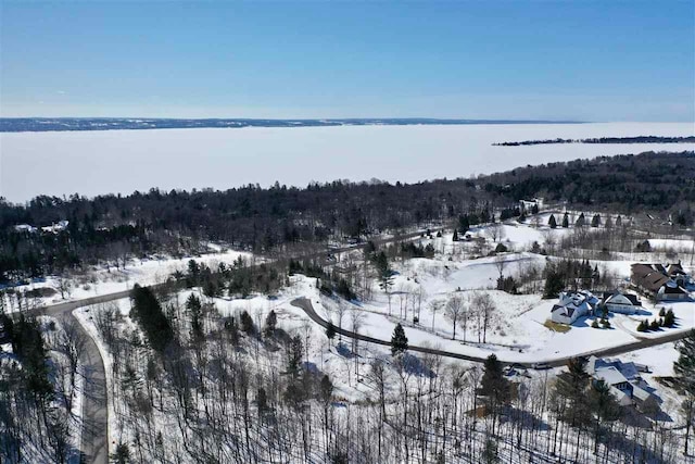 8156 E Ridge Rd, Harbor Springs MI, 49740 land for sale