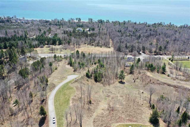 8156 E Ridge Rd, Harbor Springs, MI 49740