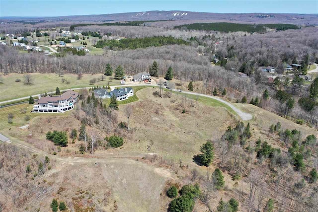 8156 E Ridge Rd, Harbor Springs, MI 49740